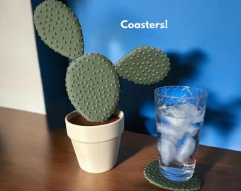 Magnetic Cactus Coaster Set: Quirky Plant Coasters