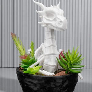 May include: A white dragon sculpture with a detailed head and spine, nestled in a black textured pot with assorted green and red succulents. The dragon is the focal point, creating a fantasy theme.