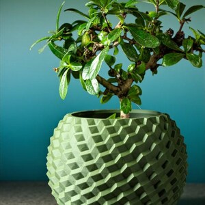 Può includere: Un piccolo bonsai con foglie verdi vibranti è piantato in un vaso sferico strutturato verde chiaro. Il vaso ha un motivo geometrico. Lo sfondo è una sfumatura di verde acqua e blu.