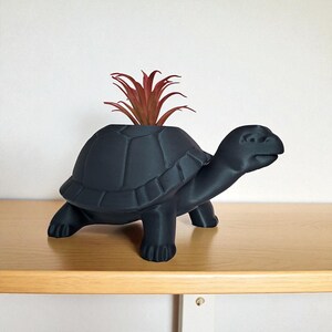 Whimsical Turtle Succulent Planter | Shelf Decor image 2