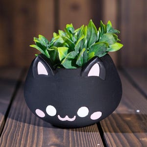 K&ouml;nnte beinhalten: Ein schwarzer, katzenf&ouml;rmiger Blumentopf mit wei&szlig;en und rosa Akzenten, der leuchtend gr&uuml;nes Laub enth&auml;lt. Der Topf hat ein l&auml;chelndes Gesicht und Katzenohren. Der Topf steht auf einer Holzoberfl&auml;che.
