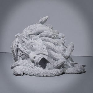 Peut inclure: Une sculpture en niveaux de gris de la t&ecirc;te de M&eacute;duse, avec des serpents enroul&eacute;s autour du visage. La sculpture pr&eacute;sente une bouche ouverte et des traits faciaux d&eacute;taill&eacute;s. Les serpents sont textur&eacute;s, ce qui renforce l'effet dramatique de l'&oelig;uvre.
