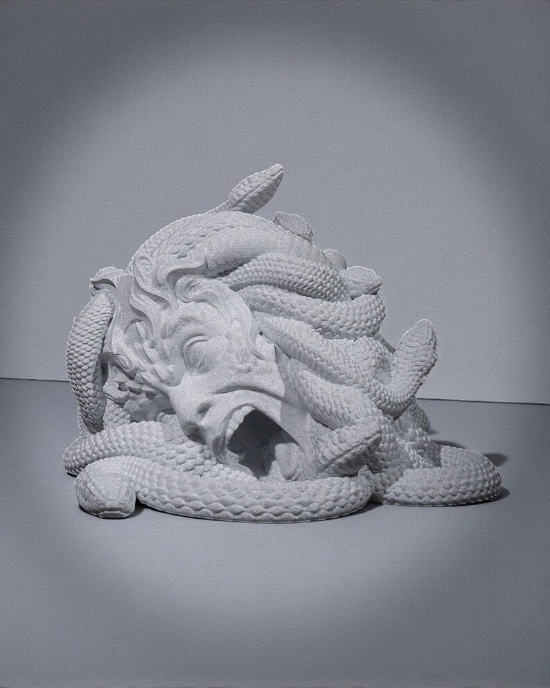 Peut inclure: Une sculpture en niveaux de gris de la t&ecirc;te de M&eacute;duse, avec des serpents enroul&eacute;s autour du visage. La sculpture pr&eacute;sente une bouche ouverte et des traits faciaux d&eacute;taill&eacute;s. Les serpents sont textur&eacute;s, ce qui renforce l'effet dramatique de l'&oelig;uvre.