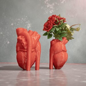 May include: Two red heart-shaped vases, one holding red roses and greenery. The vases are anatomically correct, with detailed ridges and curves. The vases are standing on a reflective surface against a gray background.