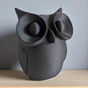 May include: A black owl figurine with large, round eyes and a textured surface. The owl is perched on a light-colored wooden shelf against a gray wall. The figurine is a decorative item.
