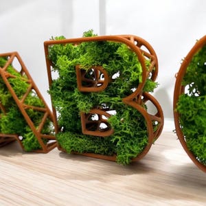 Letras de musgo personalizadas / Letras de escritorio verdes personalizadas / Decoración de musgo del alfabeto / Regalo para amantes de la naturaleza / Letrero de letras de musgo preservado