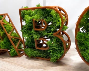 Preserved Moss Desk Letters: Eco-Friendly Home Decor