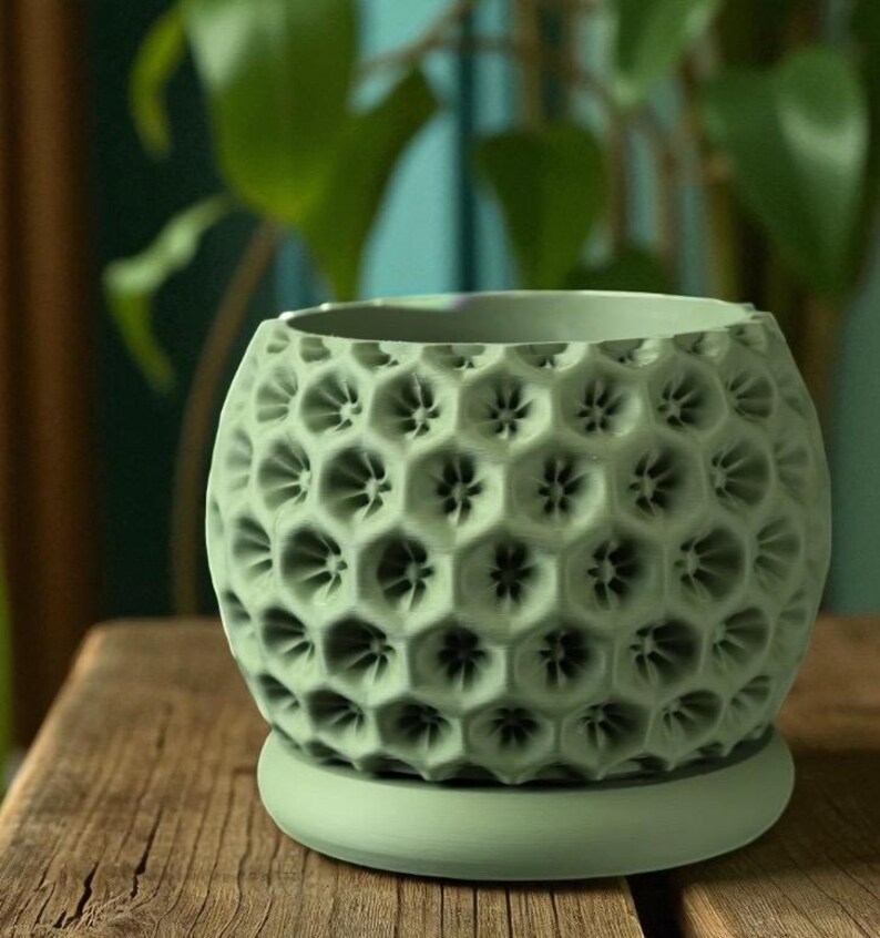 May include: A sage green ceramic planter with a honeycomb pattern. The round planter sits on a matching saucer, and the surface has a textured, porous appearance. The background includes blurred green foliage.