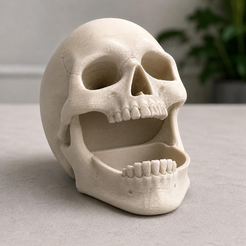Op de afbeelding: Een cr&egrave;mekleurige, schedelvormige decoratieve container met een open mond. De schedel heeft gedetailleerde kenmerken, waaronder oogkassen, een neusholte en tanden. De container is ontworpen om kleine items in te bewaren.