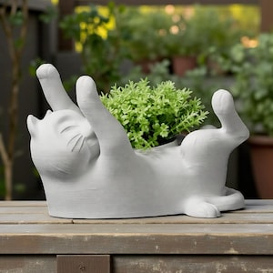 May include: A light gray cat-shaped planter, lying on its back with paws raised. The planter holds a small green plant. The cat is on a wooden surface, with a blurred background of greenery.
