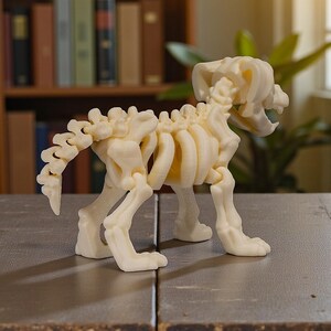 May include: A cream-colored, 3D-printed dog skeleton model. The model is detailed, showing the rib cage, spine, and skull. It stands on four legs, with the tail curved upwards. The background includes a bookshelf and a plant.