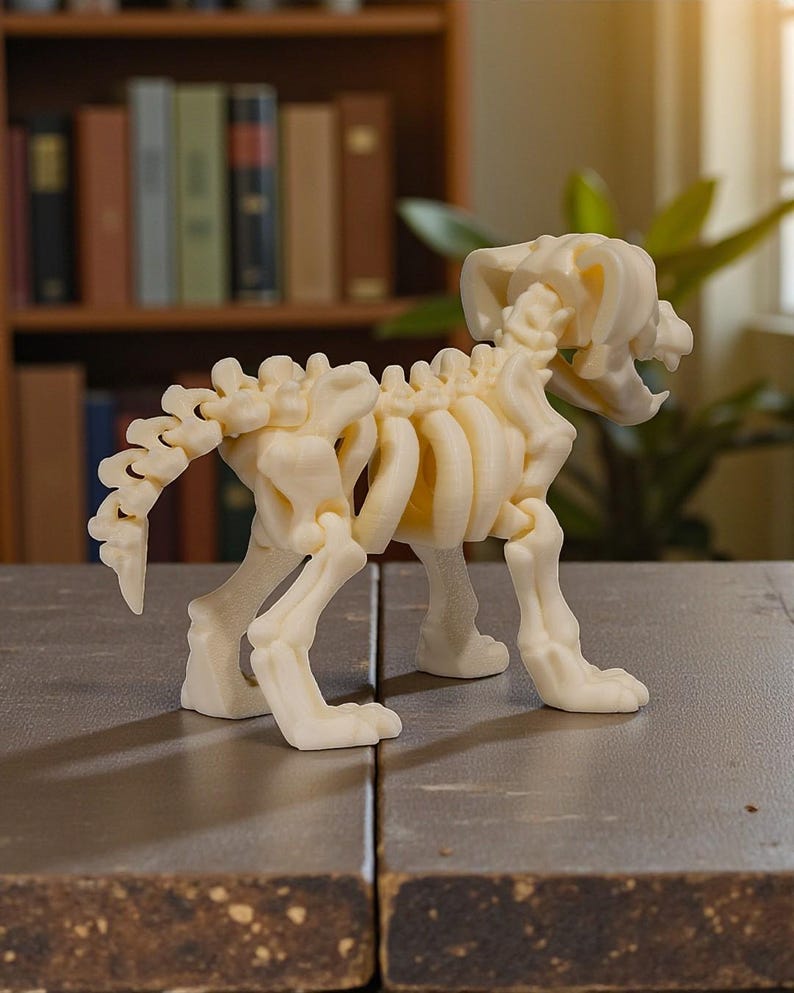 May include: A cream-colored, 3D-printed dog skeleton model. The model is detailed, showing the rib cage, spine, and skull. It stands on four legs, with the tail curved upwards. The background includes a bookshelf and a plant.