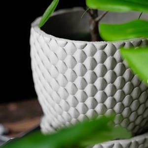 Pu&ograve; includere: Primo piano di un vaso per piante in ceramica grigia strutturata con un motivo geometrico. Il vaso contiene terra e una pianta verde. Il vaso ha un sottovaso abbinato.