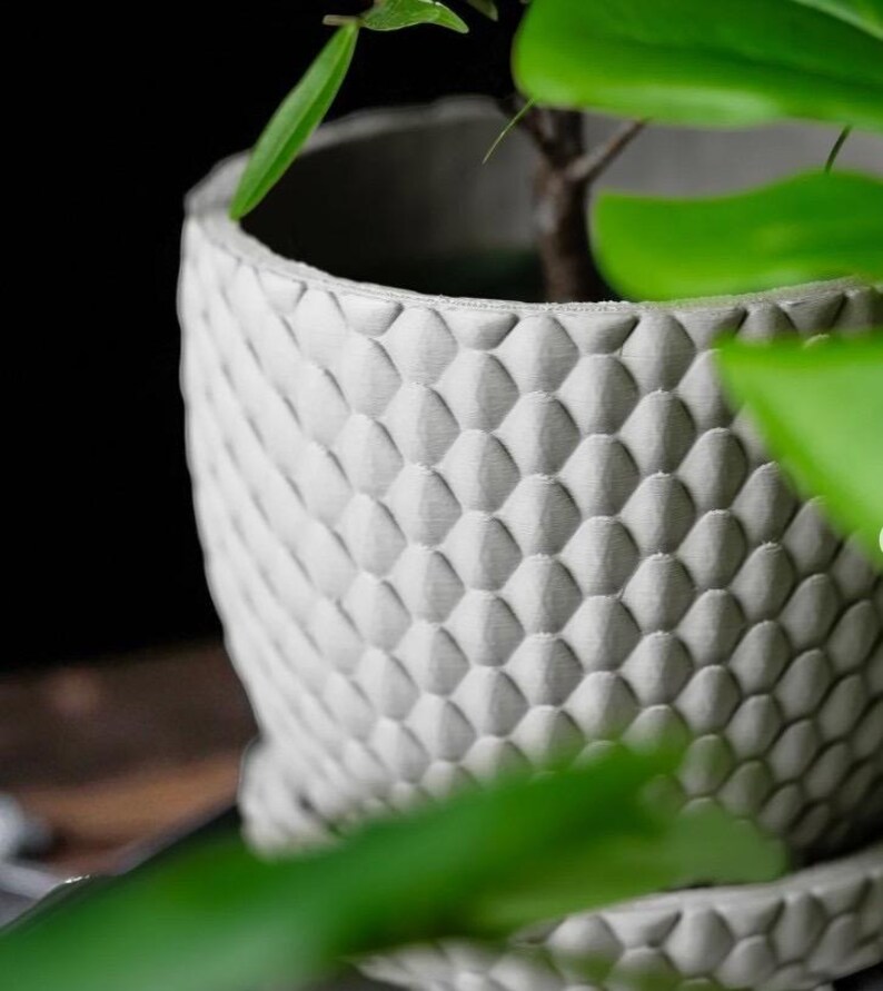 Pu&ograve; includere: Primo piano di un vaso per piante in ceramica grigia strutturata con un motivo geometrico. Il vaso contiene terra e una pianta verde. Il vaso ha un sottovaso abbinato.