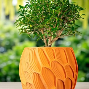 May include: A decorative orange plant pot with a textured design, holding a small bonsai tree. The bonsai has small green leaves and a brown trunk. The pot's design features layered, curved shapes. The background is a blurred green.