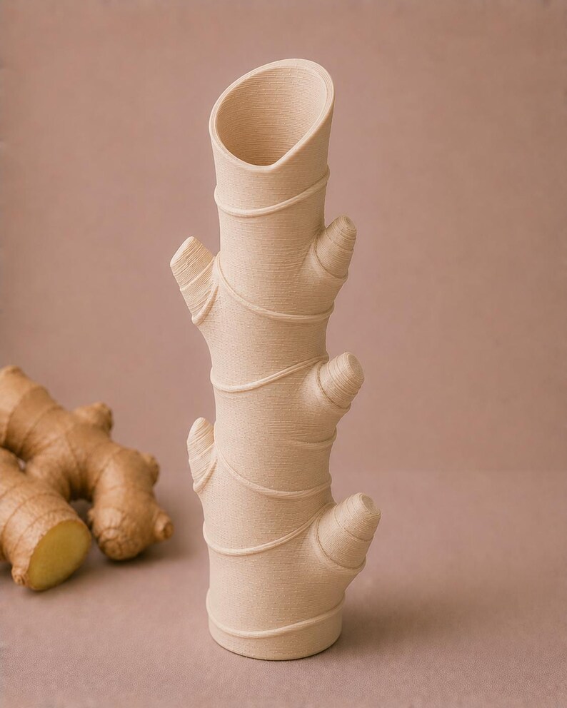 Op de afbeelding: Een beige keramische vaas in de vorm van een gemberwortel, met een getextureerd oppervlak en een cilindrische opening. De vaas heeft verschillende uitstekende knoppen en is versierd met spiraallijnen. Twee gemberwortels staan op de achtergrond.