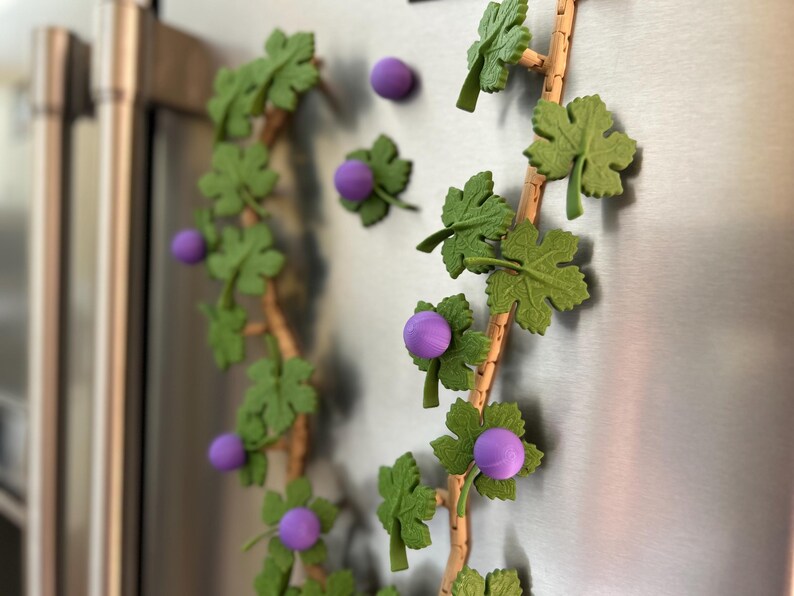 May include: Decorative grape vine magnets with green leaves and purple grapes. The magnets are attached to a stainless steel refrigerator door. The vine has a brown stem and is arranged in a decorative pattern.