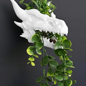 Puede incluir: Un macetero de pared con forma de cr&aacute;neo de drag&oacute;n blanco con plantas verdes que brotan de la boca y la parte superior. La cabeza del drag&oacute;n est&aacute; montada en una pared gris oscuro. Un art&iacute;culo de decoraci&oacute;n &uacute;nico.
