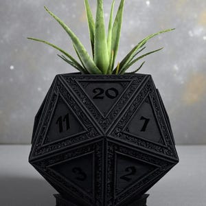 May include: A black, geometric planter shaped like a twenty-sided die, with numbers visible on the faces. The planter holds a green succulent plant. The design features intricate patterns and is set against a neutral background.