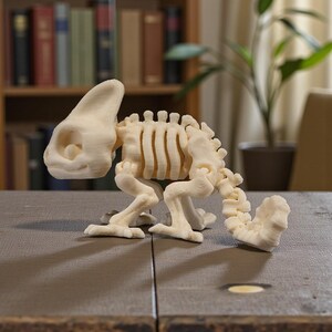 Op de afbeelding: Een cr&egrave;mekleurig, 3D-geprint kameleonskeletmodel. Het model staat op een houten oppervlak en toont de gedetailleerde skeletstructuur. De achtergrond omvat een boekenplank en een plant in een pot.
