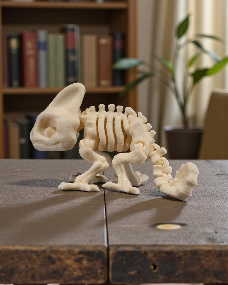 Op de afbeelding: Een cr&egrave;mekleurig, 3D-geprint kameleonskeletmodel. Het model staat op een houten oppervlak en toont de gedetailleerde skeletstructuur. De achtergrond omvat een boekenplank en een plant in een pot.