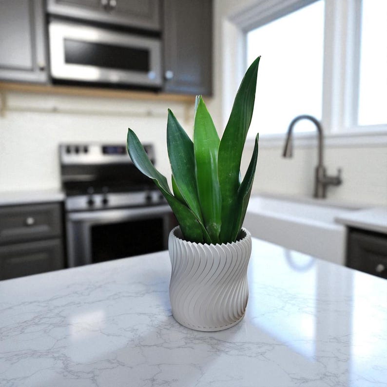 May include: A white, textured, cylindrical planter with a spiral design, holding a green snake plant. The plant has long, upright leaves. The planter sits on a white countertop in a kitchen setting.
