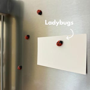 aimants pour réfrigérateur coccinelle | Décoration de réfrigérateur d'insectes mignons | Ensemble d'aimants de cuisine insectes | Cadeau inspiré de la nature | Accessoire de réfrigérateur pour amoureux des animaux