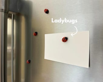 Ladybug Fridge Magnets | Cute Bug Refrigerator Decor | Insect Kitchen Magnet Set | Nature-Inspired Gift | Animal Lover Fridge Accessory