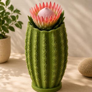 May include: A green cactus-shaped planter holds a large protea flower with pink and cream petals. The planter has a textured surface with star-shaped details, and the flower's center is a soft pink. The planter is on a light-colored surface.