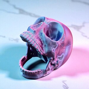 May include: A 3D-printed skull in shades of pink, blue, and purple. The skull's mouth is open, revealing the teeth. The color gradient gives the skull a unique, modern appearance. The skull is a decorative item.