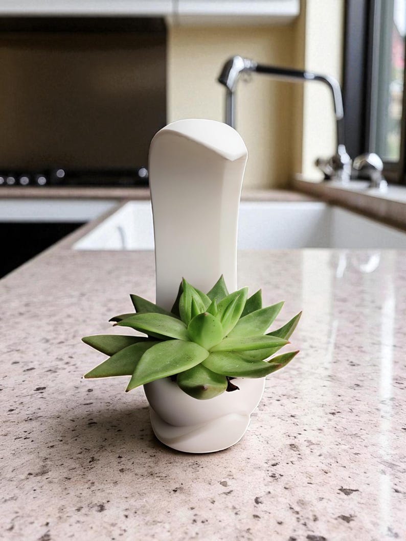 May include: A small, white ceramic planter with a green succulent plant. The planter has a unique, curved design and is set on a speckled countertop. A white, decorative element rises behind the plant.