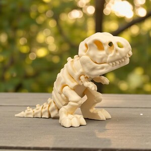 May include: A cream-colored dinosaur skeleton figurine. The toy dinosaur has a detailed skeletal structure, including ribs, spine, and skull. The figurine is posed in a standing position with its arms at its sides. The background is blurred, with green foliage and sunlight.