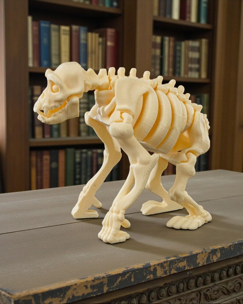May include: A cream-colored, 3D-printed canine skeleton model. The model is posed in a standing position, showcasing the detailed structure of the rib cage, spine, and skull. The model is displayed on a dark surface.
