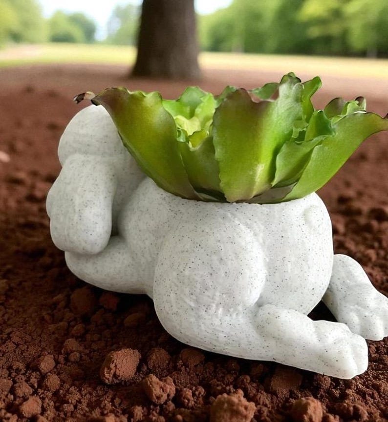 May include: A white, speckled ceramic planter shaped like a reclining figure, holding a green succulent. The planter is on a bed of brown soil, with a tree and green foliage in the background. The succulent has green and red-tinged leaves.