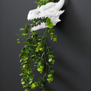 Puede incluir: Un macetero de pared con forma de calavera de drag&oacute;n blanco con follaje verde. La cabeza del drag&oacute;n est&aacute; montada en una pared gris oscuro, con la planta cayendo de la boca. El macetero a&ntilde;ade un toque &uacute;nico de fantas&iacute;a a la decoraci&oacute;n del hogar.
