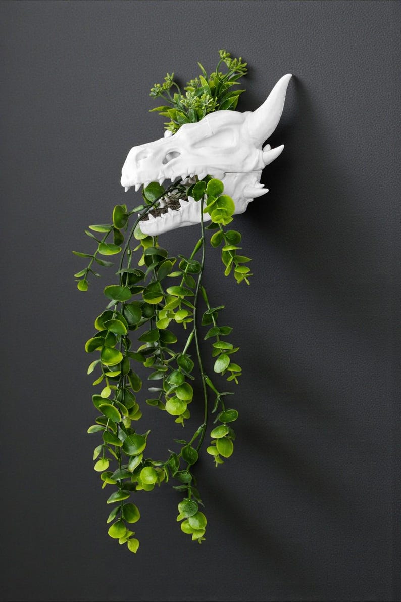 Puede incluir: Un macetero de pared con forma de calavera de drag&oacute;n blanco con follaje verde. La cabeza del drag&oacute;n est&aacute; montada en una pared gris oscuro, con la planta cayendo de la boca. El macetero a&ntilde;ade un toque &uacute;nico de fantas&iacute;a a la decoraci&oacute;n del hogar.