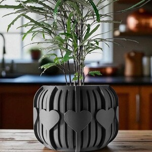 May include: A dark gray, heart-adorned planter pot holds a green plant with long, slender leaves. The pot has a unique design with vertical slats and three heart cutouts. The pot sits on a wooden surface, with a blurred kitchen background.