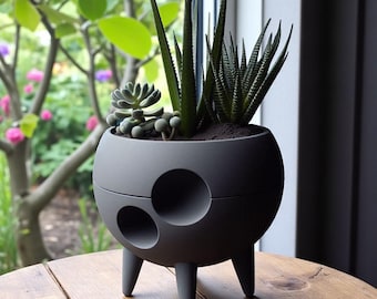 Maceta para suculentas en forma de luna: Maceta lunar