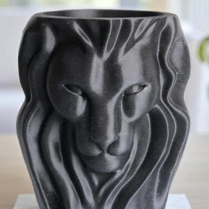 May include: A black lion head planter, 3D-printed with a detailed lion's face. The planter has a textured surface and a wide opening for plants. The lion's mane is sculpted with flowing lines. This decorative item is suitable for indoor use.
