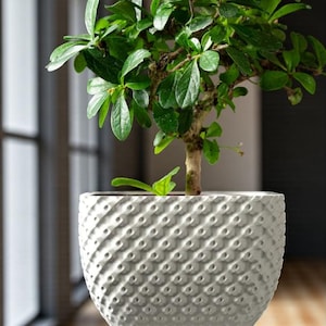 Strukturierter Übertopf mit punktiertem Muster: Modernes Wohndekor
