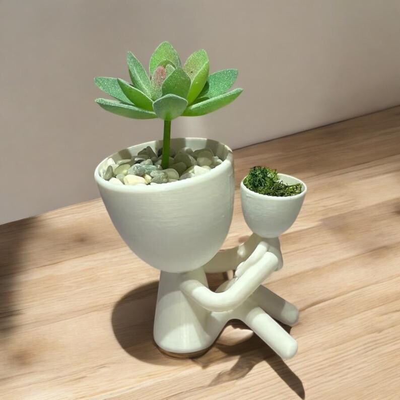 Jardinière familiale succulente : cadeau parent-enfant image 2