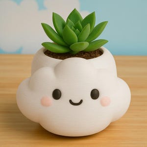 May include: A white cloud-shaped plant pot with a smiling face, black eyes, and pink cheeks. It contains a green succulent plant. The background features a light blue sky with white clouds. The pot sits on a wooden surface.