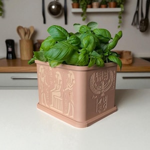 May include: A rectangular, light-pink planter filled with vibrant green basil. The planter features engraved Egyptian-style hieroglyphs and symbols. The planter is sitting on a white countertop in a kitchen setting.