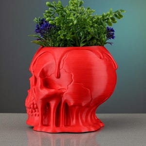 May include: A red skull-shaped planter with a textured surface, holding green and purple plants. The planter has a unique design with a dripping effect around the top. A decorative item for home decor.