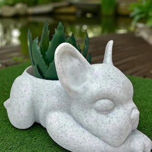 May include: A white, speckled ceramic planter in the shape of a French bulldog. The dog is lying down with its head resting on its paws. The planter holds a green succulent plant. The background is blurred, showing a green lawn and a pond.