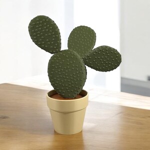 Magnetic Cactus Coaster Set: Quirky Plant Coasters image 3
