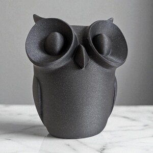 May include: A matte black owl figurine with large, round eyes and a pointed beak. The owl has a textured surface and is sitting on a white marble surface. The owl is a decorative item.