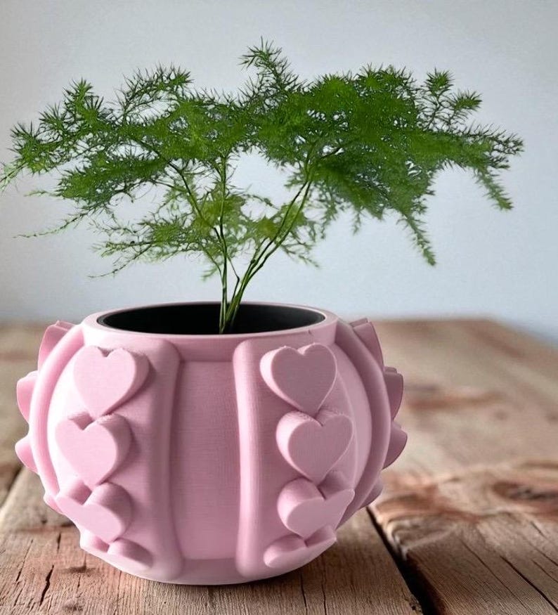 May include: A pink planter with a heart design, holding a green plant. The planter is round with raised heart shapes around the sides. The plant has thin, needle-like leaves. The planter sits on a wooden surface.