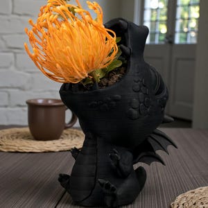 May include: A black dragon-shaped planter with an open mouth, holding an orange flower. The dragon has detailed scales and wings. The flower is a vibrant orange color. The planter is sitting on a wooden table.