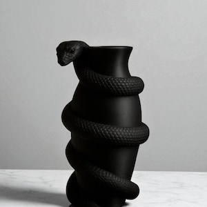 Puede incluir: Un jarr&oacute;n negro mate con un dise&ntilde;o de serpiente enrollada. La serpiente se enrolla alrededor del jarr&oacute;n, con la cabeza de la serpiente en la parte superior. El jarr&oacute;n tiene un cuerpo liso y cil&iacute;ndrico y una amplia abertura. La serpiente tiene escamas detalladas.